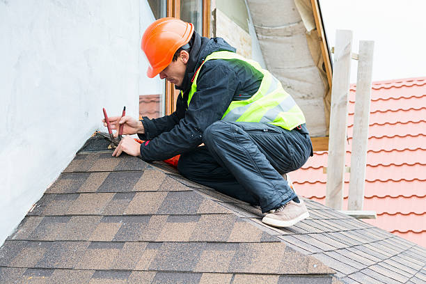 Best Roof Gutter Cleaning  in Wyoming, OH